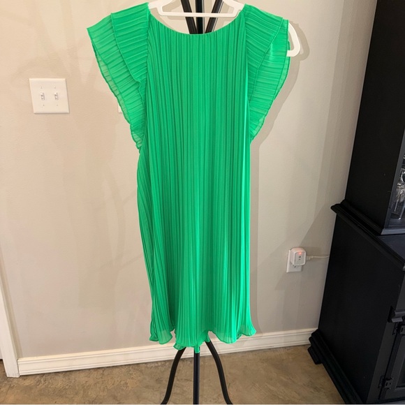 Naked Zebra Dresses & Skirts - NWT - Spring Green Pleated Dress